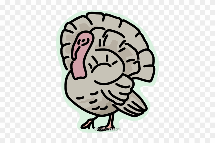 Wild Turkey Royalty Free Vector Clip Art Illustration - Html #1192814