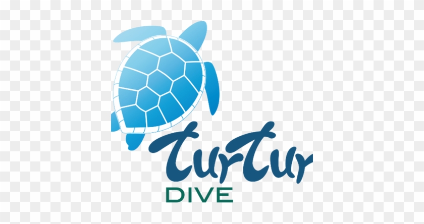 Turtur Dive - Hawksbill Sea Turtle #1192936