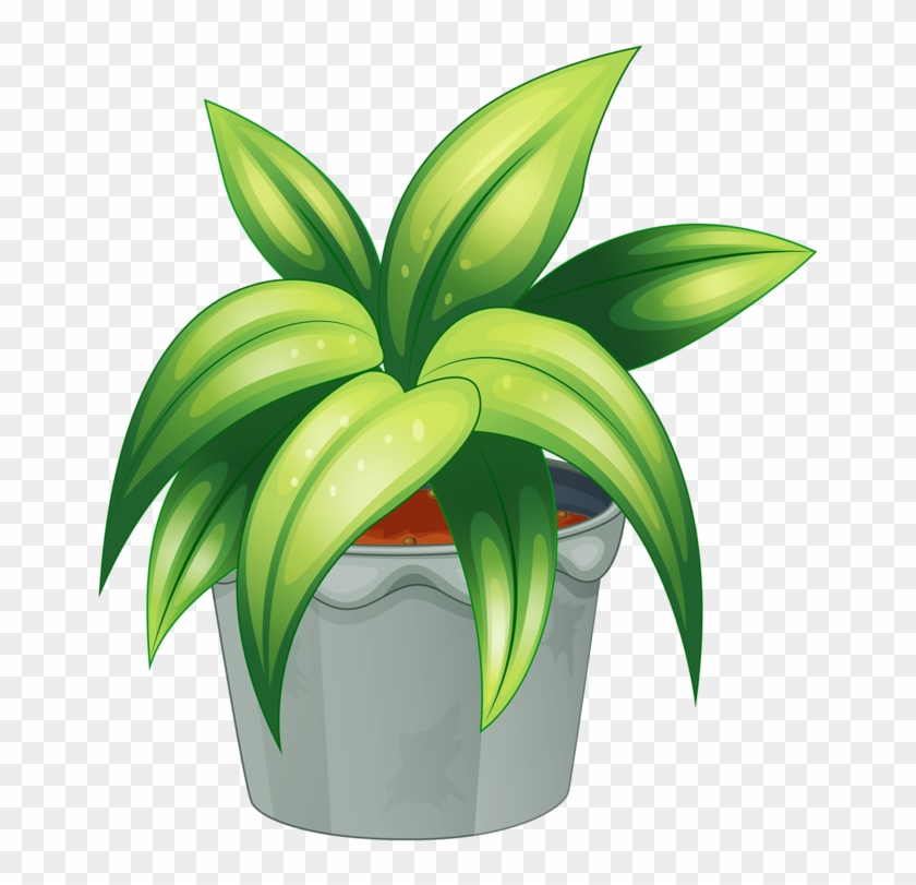 Pot Plant Clipart Botany - Flowering Plant And Non Flowering Plant #1193026