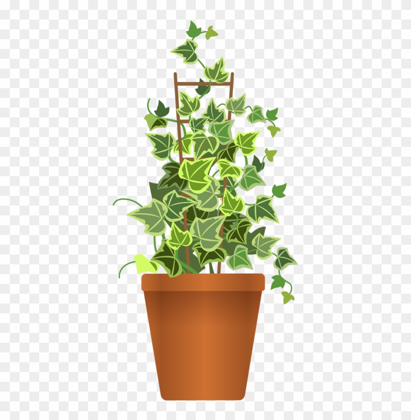 Pot Plant Clipart Flora - Pot Flower Plant Png #1193059