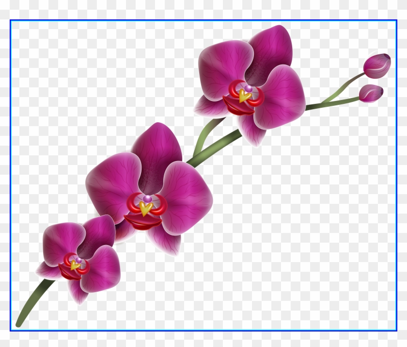 Bouquet Png Green Bouquet Png Unbelievable Home Clipart - Orchid Flower Transparent Background #1193107