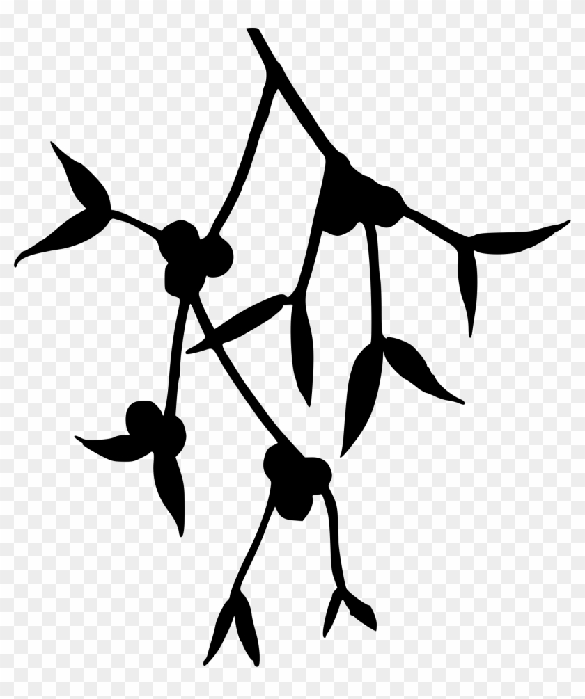 Clipart - Mistletoe Silhouette #1193223