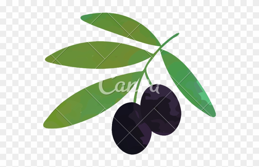 Cartoon Illustration Of Branch With Black Ripe Olives - Illustration #1193355