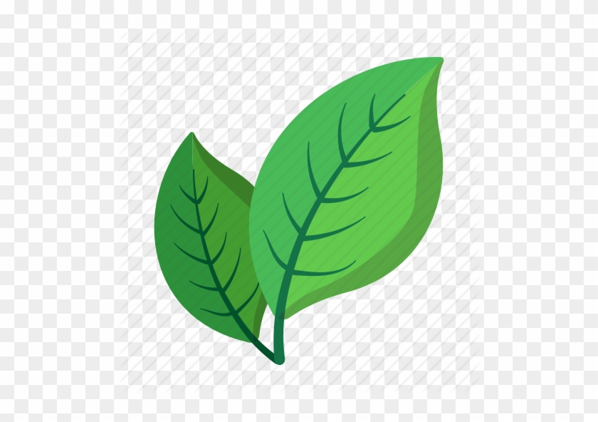 Toggle Navigation - Leaves Cartoon - Free Transparent PNG Clipart Images Download Toggle Navigation - Leaves Cartoon - Free Transparent PNG Clipart Images Download