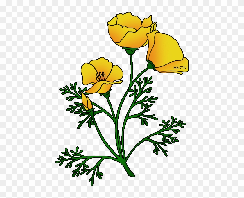 Poppy Clipart Printable - California Poppy Clip Art #1193429