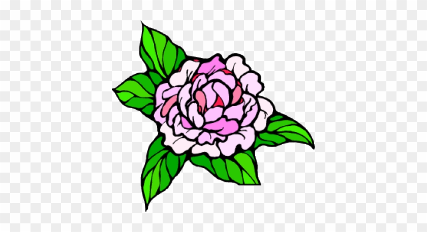 Peony Clipart Indiana - Indiana State Flower Peony #1193440