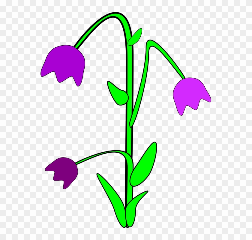 Bluebell Clipart Blue Bell - Glockenblumen Clipart #1193450