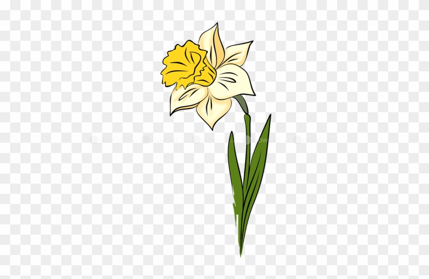 How To Draw Flowers - How To Draw Flowers #1193473