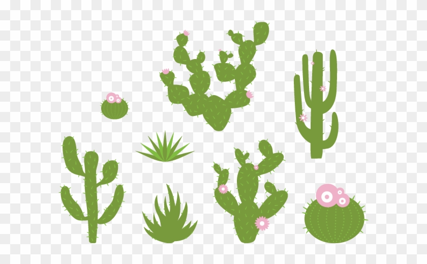Desert Plants Wall Decals - Eastern Prickly Pear #1193534