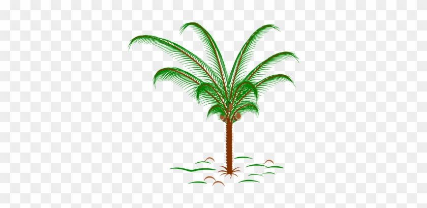 Tree, Palm, Palm Leaves, Plant - Tropische Palme Kinderwagendecke #1193535