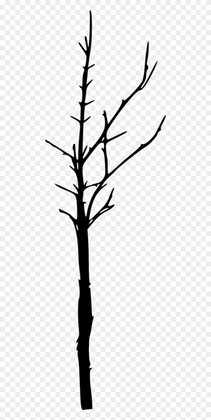 Free Png Bare Tree Silhouette Png Images Transparent - Portable Network Graphics #1193576