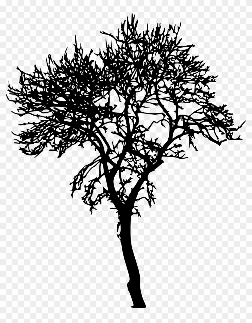 18 Bare Tree Silhouette Png Transparent Vol 2 Onlygfxcom - Dessin Arbre Sans Feuille Peuplier #1193579