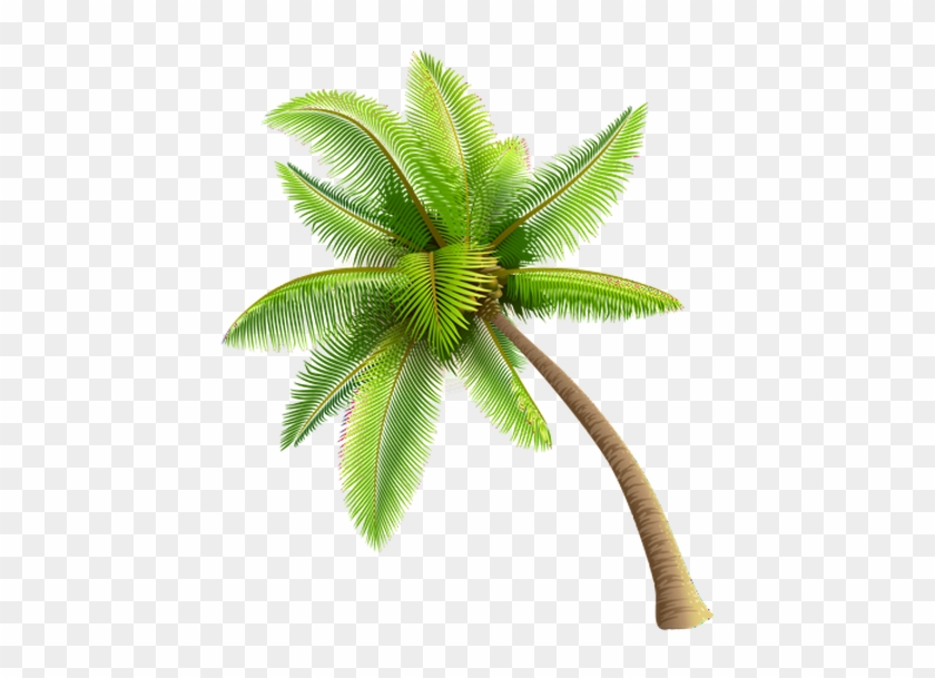 $2 Tacos $3 Domestic Bottle Beer $4 House Margaritas - Transparent Background Palm Tree Png #1193605