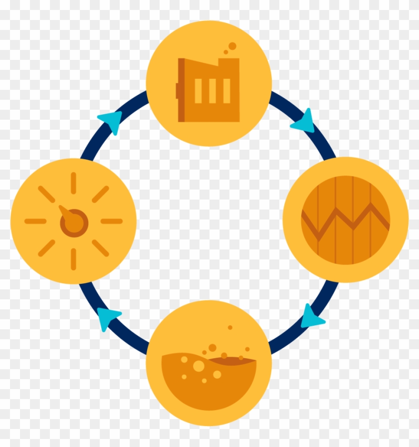 Plant Life Cycle Results - Project Control #1193679