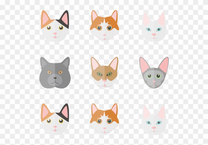 Cat Set 6 Icons - Cat Flat Icon #1193785