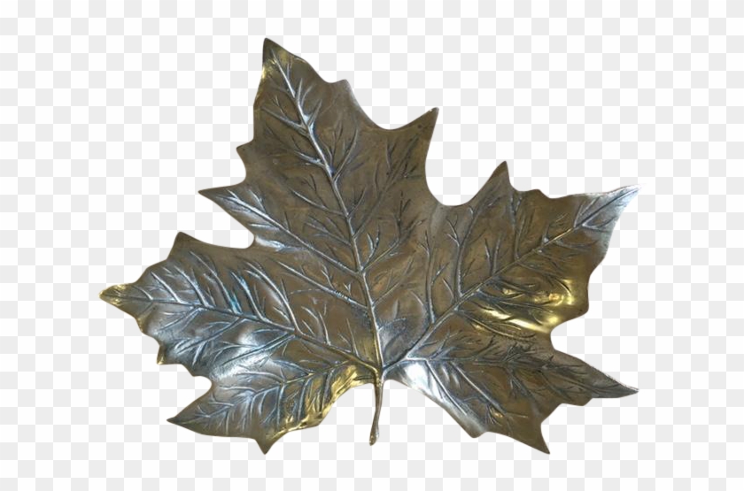 Maple Leaf #1193829
