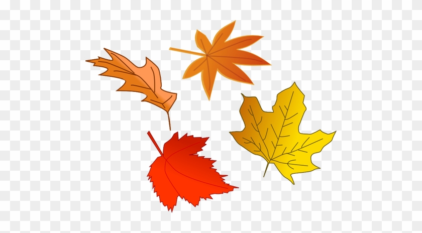 Feuilles D - Autumn Leaves Illustration #1193839