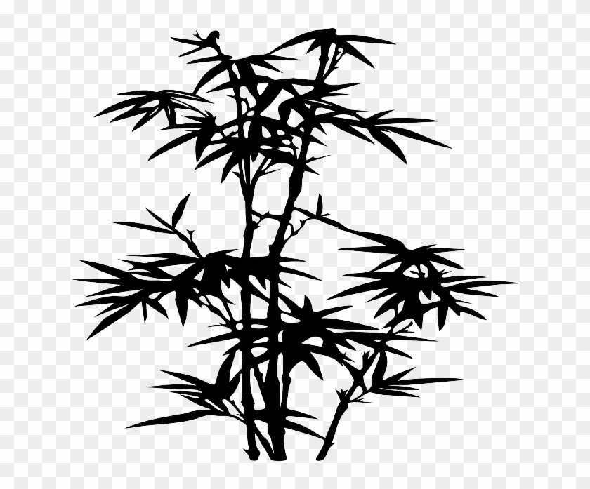 Allen Silhouette, Plants, Bamboo, Leaf, Tree, Danny, - Bamboo Leaves Silhouette Png #1193875