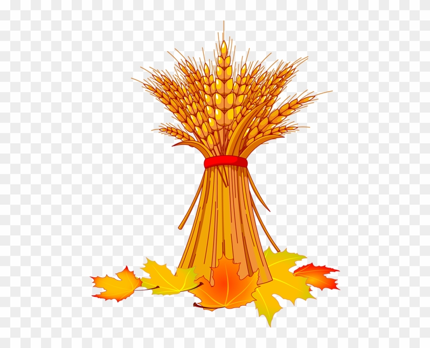 Free Pictures Of Autumn Leaves - Wheat Clip Art #1193995