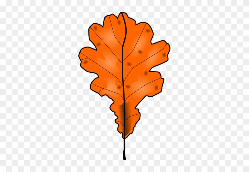 Brun Automne Feuilles Vecteur Une Image Clipart - Orange Leaf Clip Art #1193998