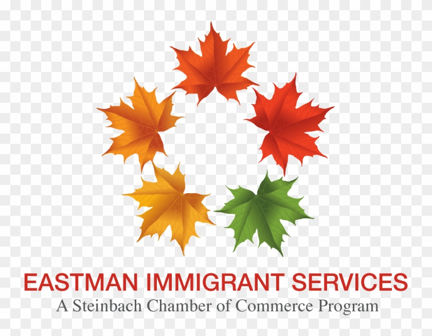 Chamber Group Insurance First Data Eastman Immigrant - Maple Leaf #1194081