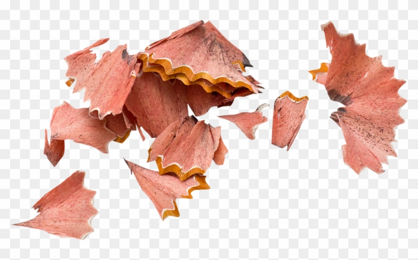 Pencil Shavings Pattern - Pencil Shavings Png #1194086