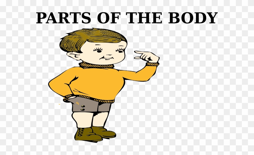 Parts Of The Body Clip Art At Clker - Body Part Clip Art #1194177