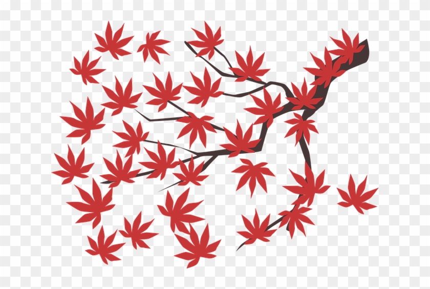 Maple Leaf, Maple, Leaf, Autumn, Red, Fall, Tree, Plant - Vector Cây Lá Phong #1194268