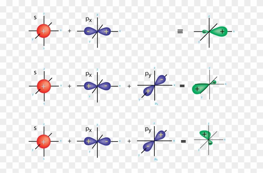 Sp2 - General Shape Of Orbitals #1194319