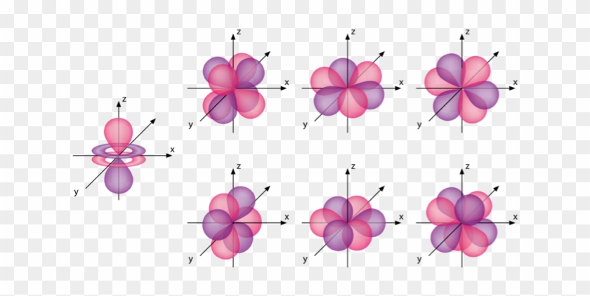 F Orbitals Are The Most Numerous As There Are Seven - Shapes Of F Orbitals #1194342