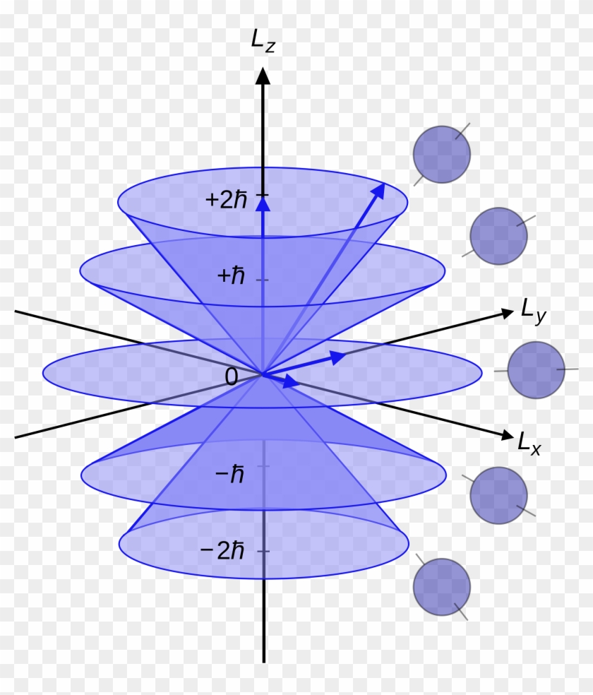 Illustration Of The Vector Model Of Orbital Angular - Angular Momentum Quantum Mechanics #1194347