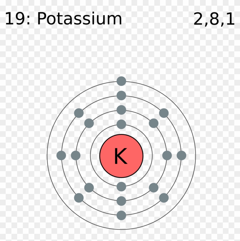 File Electron Shell 019 Potassium Png Wikimedia Commons - Bohr Model Of Xenon #1194370