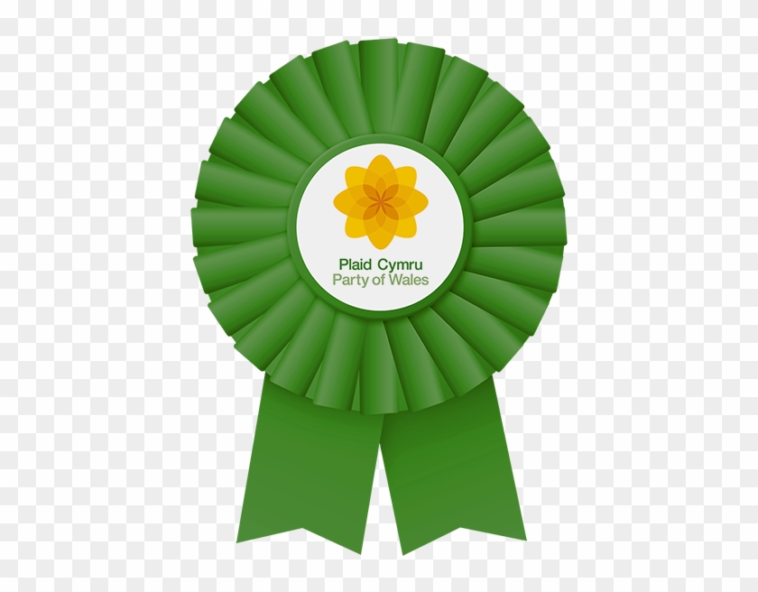 Read The Plaid Cymru Party Easy Read Manifesto In English - Sunflower #1194375