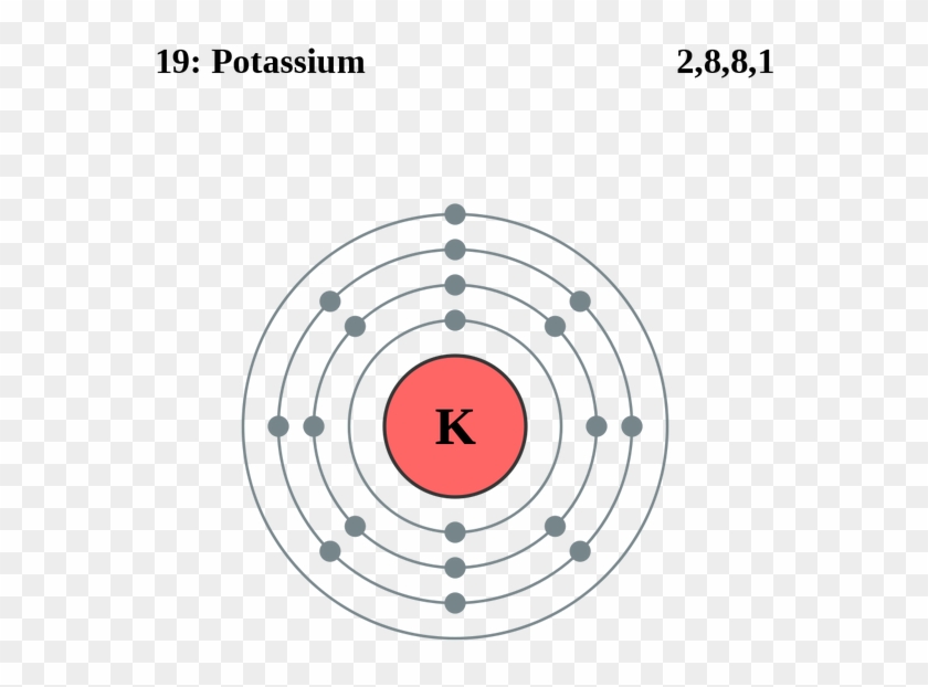 See The Electron Configuration Of Atoms Of The Elements - Potassium Electron Shell Diagram #1194386
