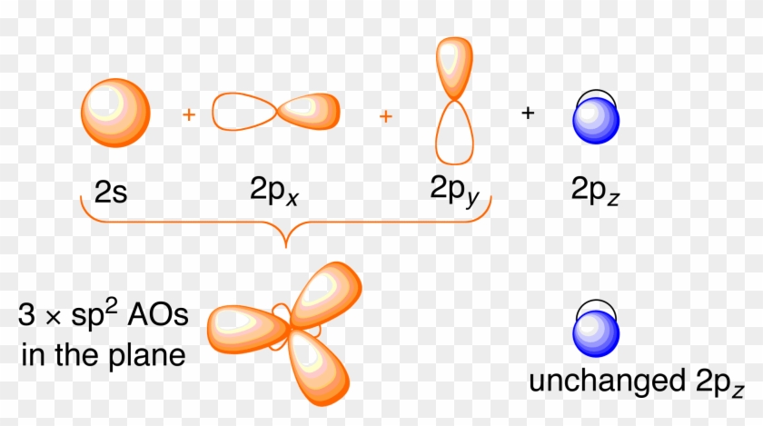 Ethylene Orbitals - Sp2 Orbitals #1194406