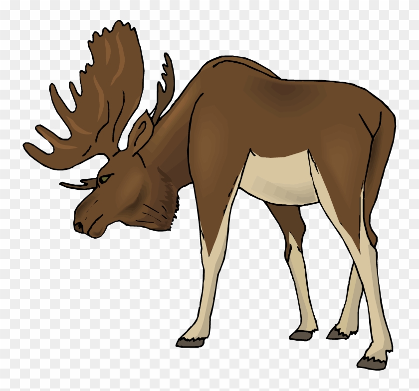 Moose Clip Art - Clip Art #1194423