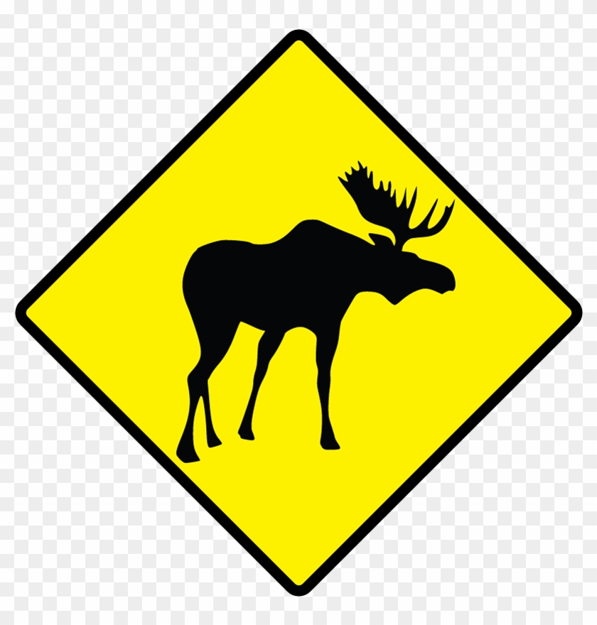 Maine Moose Caution - Kangaroo Warning Sign #1194443