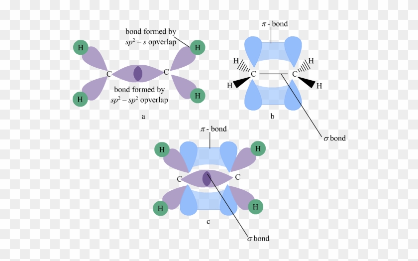 The Hybridization Of C2h4 Orbitals - Sp2 Hybridization C2h4 #1194497