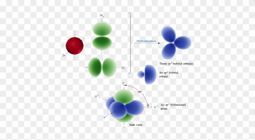 Mcat Bonding - Sp2 Hybridization - Sp2 Hybridization Phases #1194529