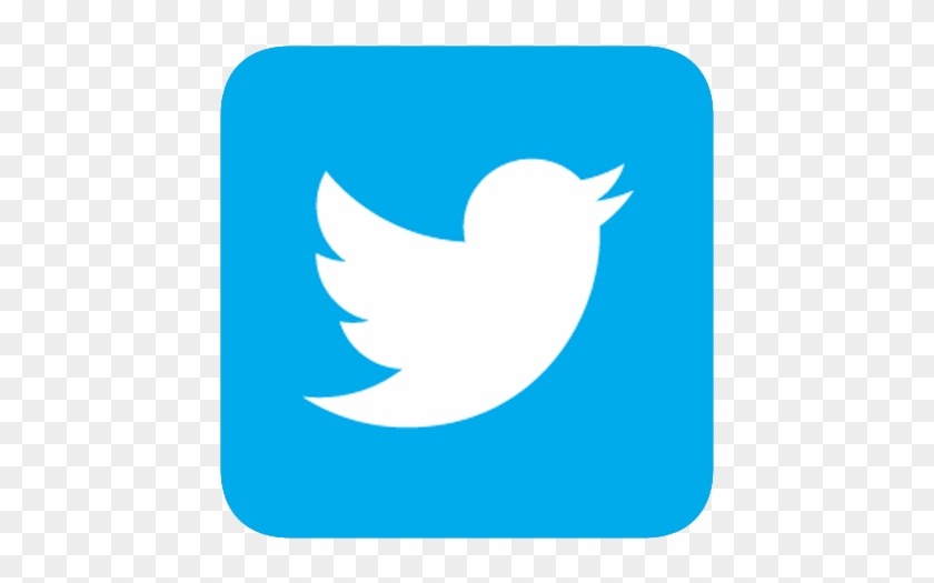 Twitter Bird Logo Square #1194771