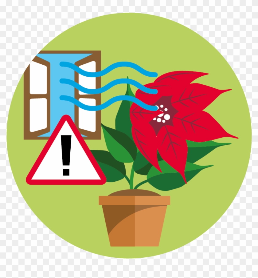 Colour - Png - Consumer #1194803