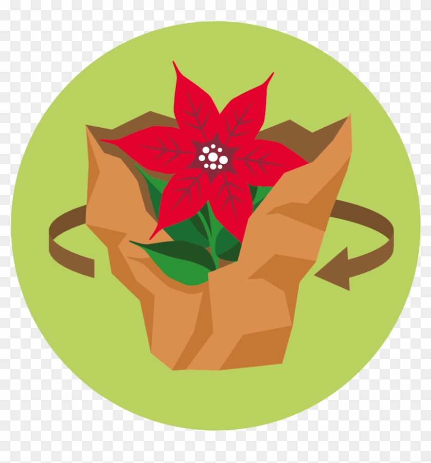 Png - Consumer #1194812