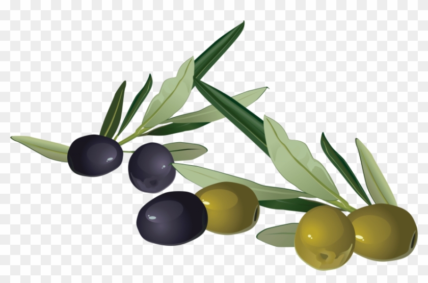 Free Png Olives Png Images Transparent - Olives Clipart Png #1194980