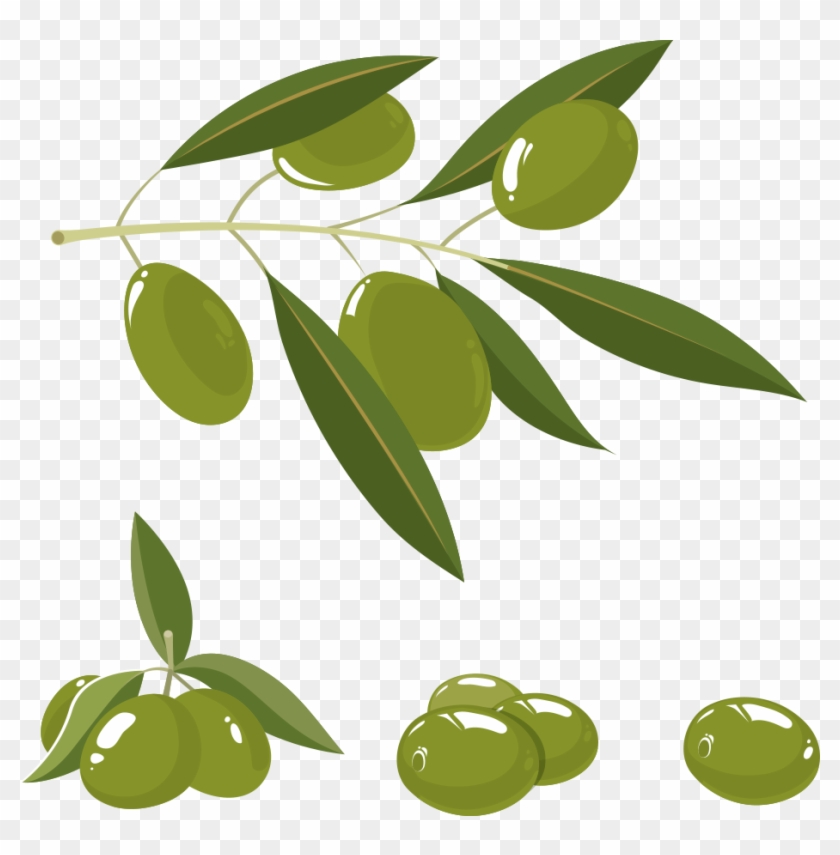 Olive Oil Olive Branch - Olive #1194984