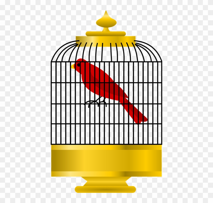 Cage Clipart Golden Bird - Cage #1195200