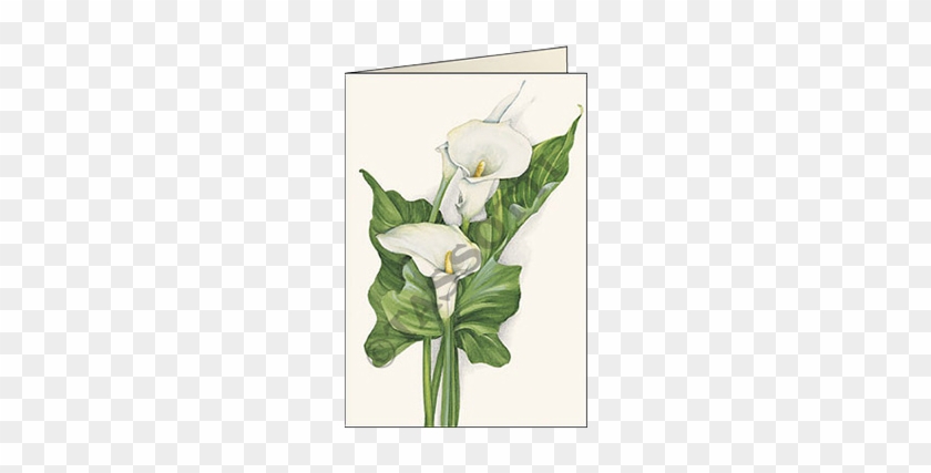 Biglietti D'auguri "calla" - Bookmark #1195245