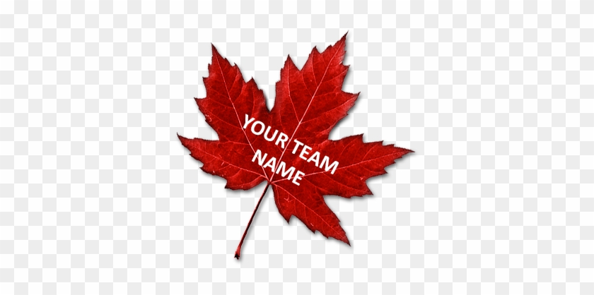Raise $5,000 Or More Collectively As A Team Or Group - Canadian Maple Leaf Png #1195410