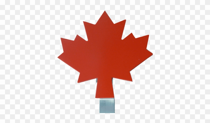 Canadian Maple Leaf - Canadian Maple Leaf Cartoon #1195461