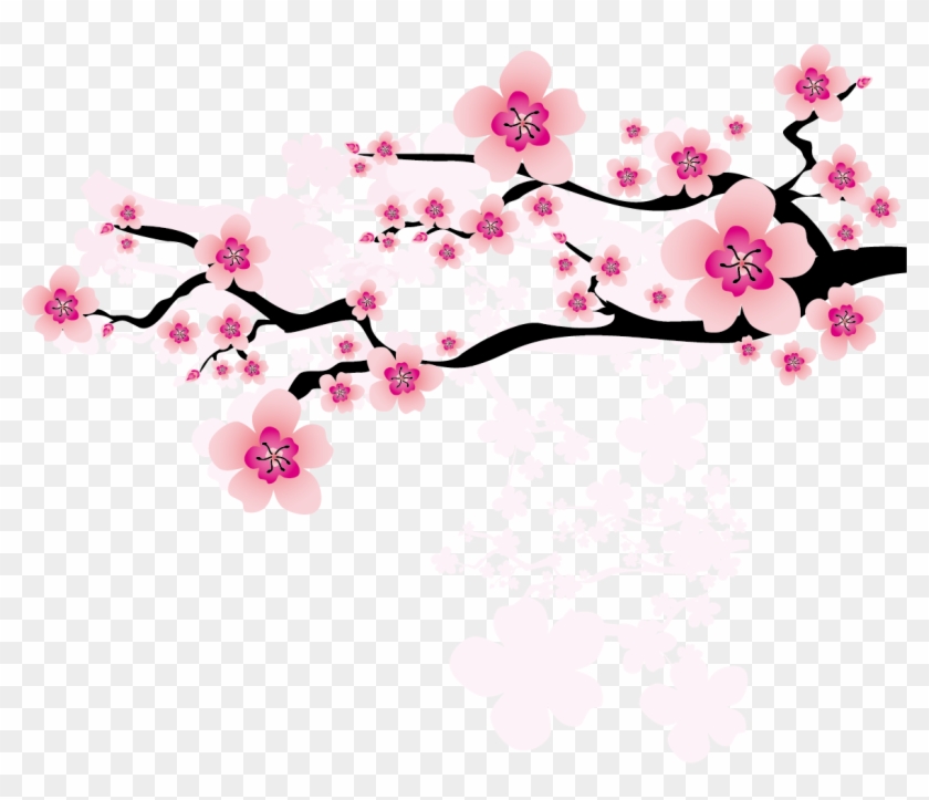 Ume Blossom Clipart Apricot Blossom - Cherry Blossom Vector Png #1195482