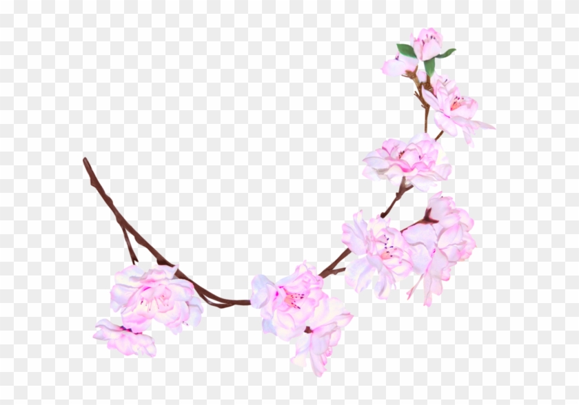 Spring Blossom - Cherry Blossom #1195495
